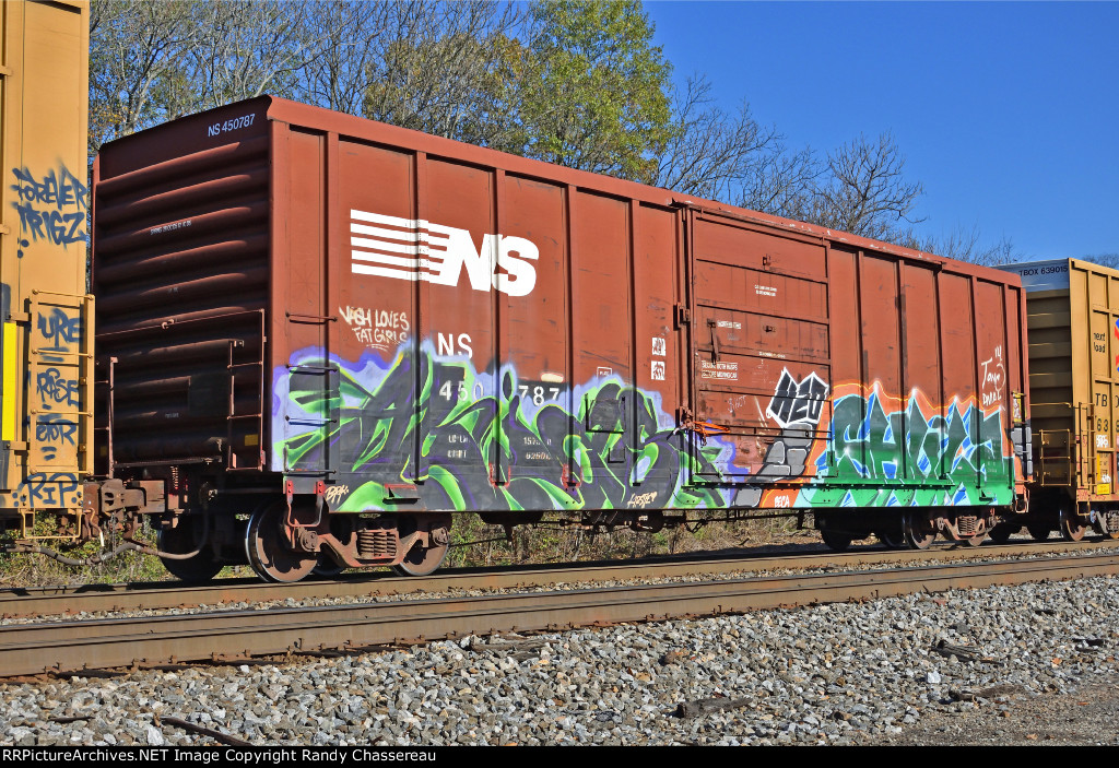 NS 450787